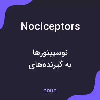 معنی nociceptors به فارسی معنی nociceptors به فارسی