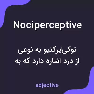 معنی nociperceptive به فارسی معنی nociperceptive به فارسی