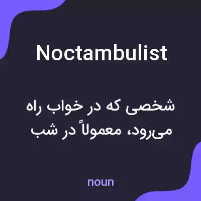 معنی noctambulist به فارسی