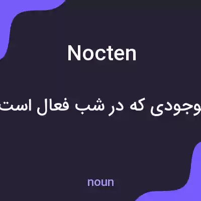 معنی nocten به فارسی معنی nocten به فارسی