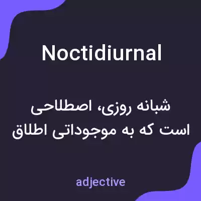 معنی noctidiurnal به فارسی معنی noctidiurnal به فارسی