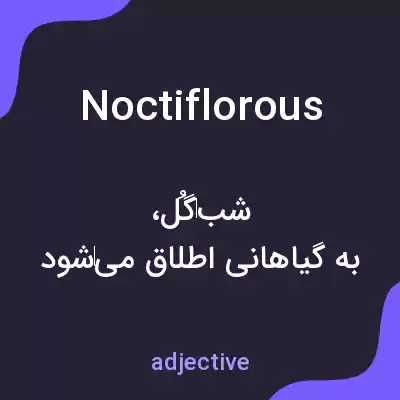 معنی noctiflorous به فارسی معنی noctiflorous به فارسی