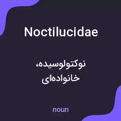معنی noctilucidae به فارسی معنی noctilucidae به فارسی