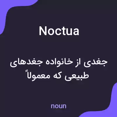 معنی noctua به فارسی معنی noctua به فارسی