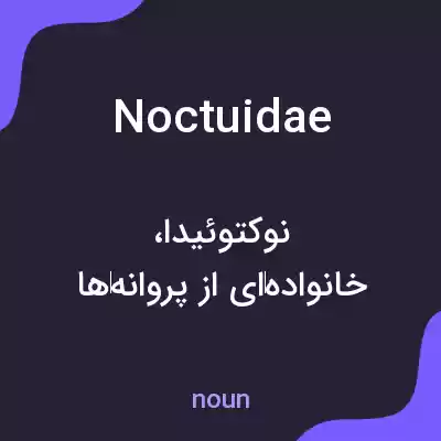 معنی noctuidae به فارسی معنی noctuidae به فارسی