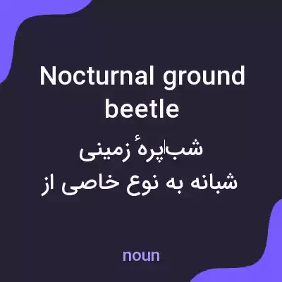 معنی nocturnal ground beetle به فارسی معنی nocturnal ground beetle به فارسی