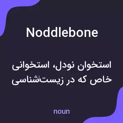 معنی noddlebone به فارسی