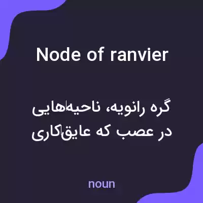 معنی node of ranvier به فارسی