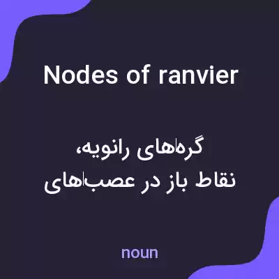 معنی nodes of ranvier به فارسی معنی nodes of ranvier به فارسی