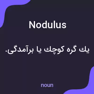 معنی nodulus به فارسی معنی nodulus به فارسی
