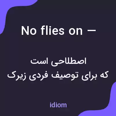 معنی no flies on — به فارسی معنی no flies on — به فارسی