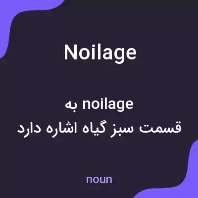 معنی noilage به فارسی معنی noilage به فارسی