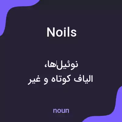 معنی noils به فارسی معنی noils به فارسی