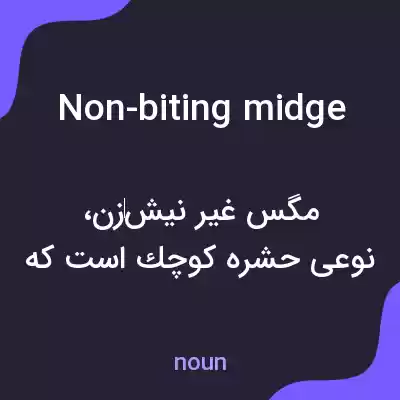 معنی non-biting midge به فارسی معنی non-biting midge به فارسی