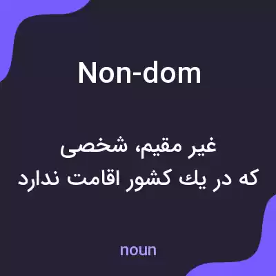 معنی non-dom به فارسی معنی non-dom به فارسی