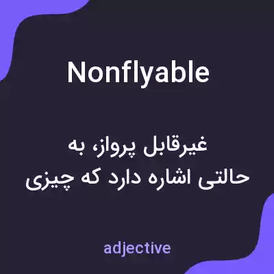 معنی nonflyable به فارسی معنی nonflyable به فارسی