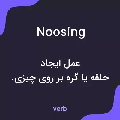 معنی noosing به فارسی معنی noosing به فارسی