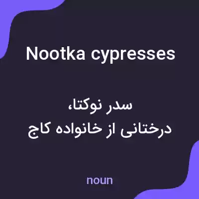معنی nootka cypresses به فارسی معنی nootka cypresses به فارسی