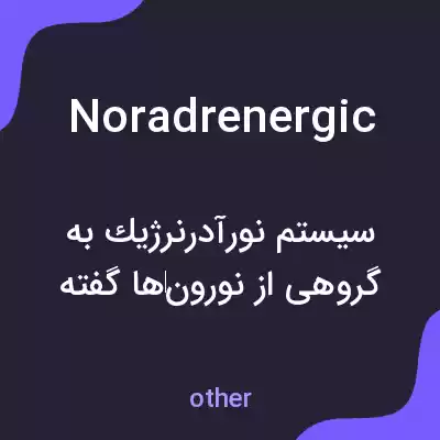 معنی noradrenergic به فارسی معنی noradrenergic به فارسی