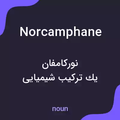 معنی norcamphane به فارسی معنی norcamphane به فارسی