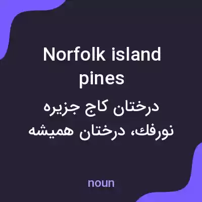 معنی norfolk island pines به فارسی معنی norfolk island pines به فارسی