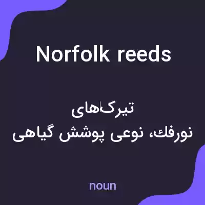 معنی norfolk reeds به فارسی معنی norfolk reeds به فارسی