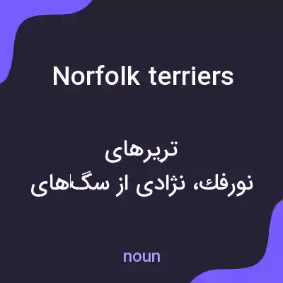 معنی norfolk terriers به فارسی معنی norfolk terriers به فارسی