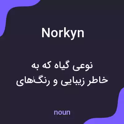 معنی norkyn به فارسی معنی norkyn به فارسی