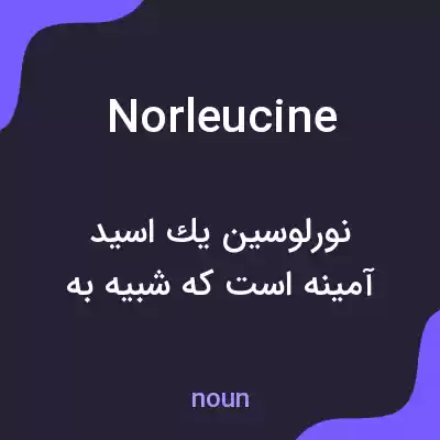 معنی norleucine به فارسی معنی norleucine به فارسی