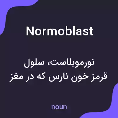 معنی normoblast به فارسی معنی normoblast به فارسی