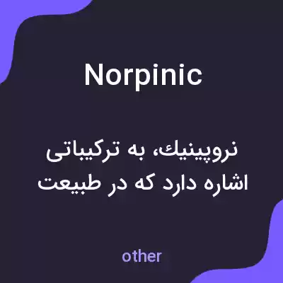 معنی norpinic به فارسی معنی norpinic به فارسی