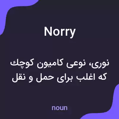 معنی norry به فارسی معنی norry به فارسی
