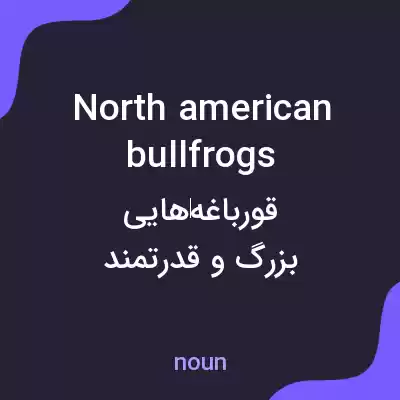 معنی north american bullfrogs به فارسی معنی north american bullfrogs به فارسی