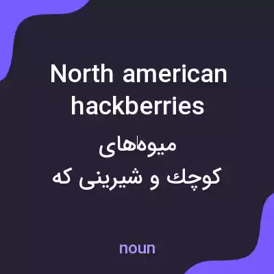 معنی north american hackberries به فارسی معنی north american hackberries به فارسی