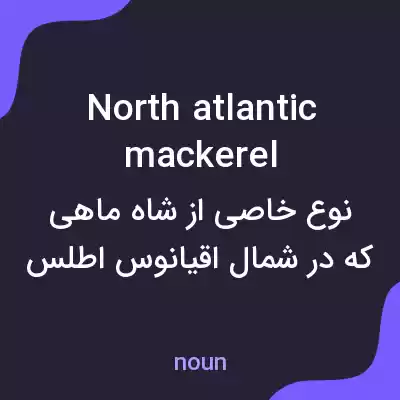 معنی north atlantic mackerel به فارسی