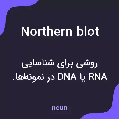 معنی northern blot به فارسی معنی northern blot به فارسی