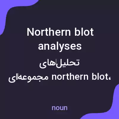 معنی northern blot analyses به فارسی معنی northern blot analyses به فارسی