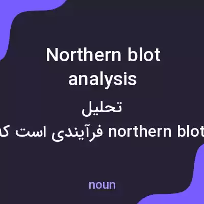 معنی northern blot analysis به فارسی معنی northern blot analysis به فارسی
