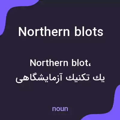 معنی northern blots به فارسی معنی northern blots به فارسی