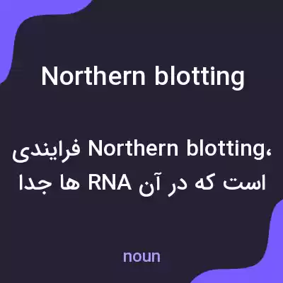 معنی northern blotting به فارسی معنی northern blotting به فارسی