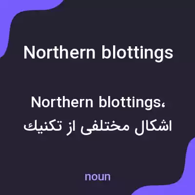 معنی northern blottings به فارسی معنی northern blottings به فارسی