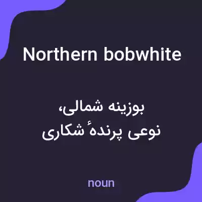 معنی northern bobwhite به فارسی معنی northern bobwhite به فارسی