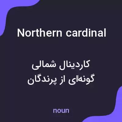 معنی northern cardinal به فارسی معنی northern cardinal به فارسی
