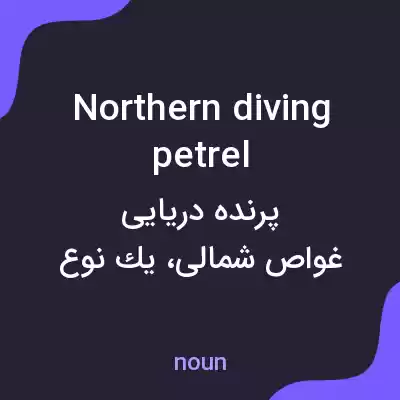 معنی northern diving petrel به فارسی معنی northern diving petrel به فارسی