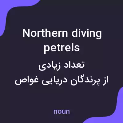 معنی northern diving petrels به فارسی معنی northern diving petrels به فارسی
