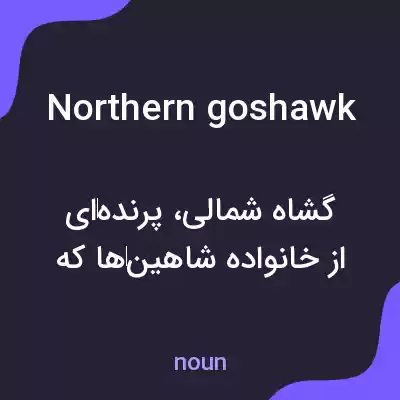 معنی northern goshawk به فارسی
