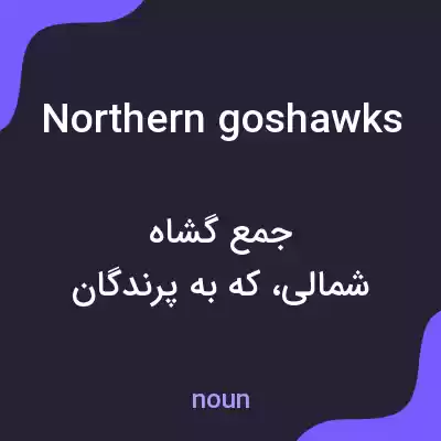 معنی northern goshawks به فارسی معنی northern goshawks به فارسی