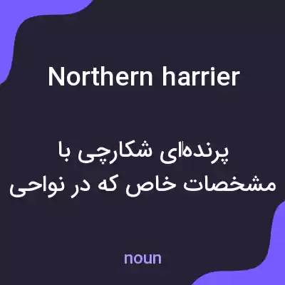 معنی northern harrier به فارسی معنی northern harrier به فارسی