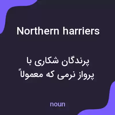 معنی northern harriers به فارسی معنی northern harriers به فارسی