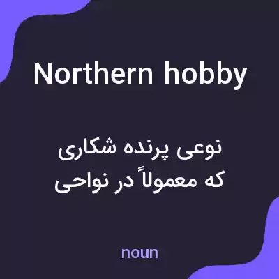 معنی northern hobby به فارسی معنی northern hobby به فارسی